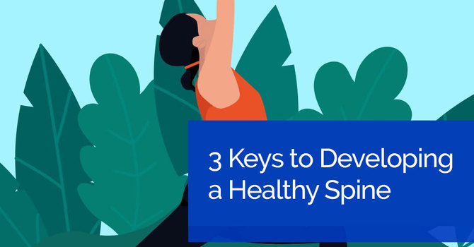 3 Keys to Developing a Healthy Spine